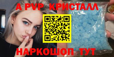 крисы Малгобек