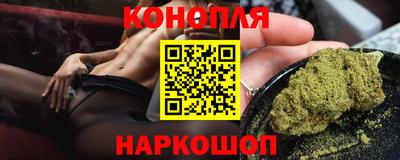 крисы Малгобек